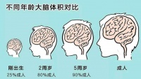 0到3岁宝宝智力开发关键期，父母如何抓住？5招帮助宝宝更聪明