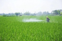 谷田梦：有机食品，健康生活！