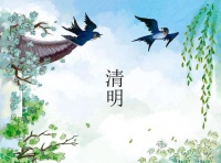 清明聊健康：科学减脂，重塑健康生活方式