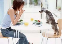 全球公认的十大不良生活习惯与十大健康生活习惯，你占了几个？