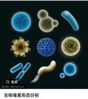 重视健康生活习惯的重要性