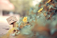 植物性饮食：探索健康生活的秘密