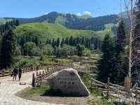 良好的心态、稳定的情绪是健康生活的核心