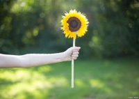 健康生活：保持乐观的心态，对待生活积极向上！