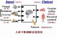 抗利尿激素分泌失调综合症