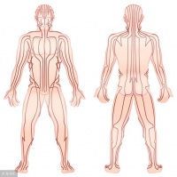 老中医5分钟教你看懂12经络，最全经络图送给你，哪里痛治哪里
