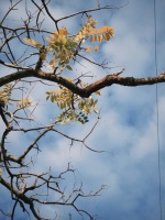 “四大减压法则，助你轻松摆脱压力，重拾快乐生活！”