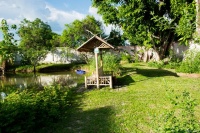 健康养生：如何在家中创造一个健康的生活环境？