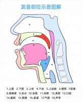 言语语言发育迟缓怎么办？儿童圆唇运动障碍的矫正治疗方式探索