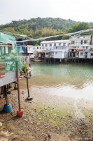 平衡饮食与运动：健康生活的基石