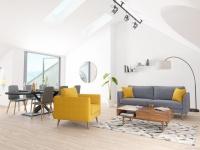 从家开始：营造健康、和谐的生活环境