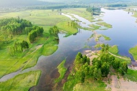 健康生活新趋势：关注养生与环保