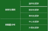 体重管理年：科学认知肥胖，有效控制体重