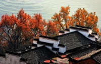 健康的10种生活方式，你占几种