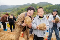 苓出岳西优，仲景宛西制药深耕道地药材，弘扬中医药传统文化