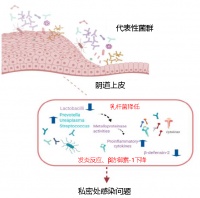 聚焦女性私处菌相，益生菌赛道将迎来下一个爆点？