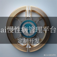 'AI慢性病管理平台：智能科技赋能健康生活