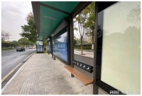 盲人社会适应性训练：打开生活的新篇章