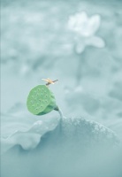 要想晚年生活不悲惨，退休后，一定要准备好3条后路