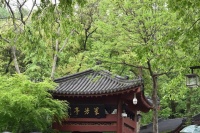 养成良好的十个生活习惯