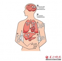 不良生活习惯致慢性病年轻化 专家呼吁增强健康意识