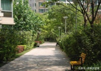 装修选材要注意，材料环保才更安全，让家人的生活环境更加健康