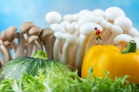 多吃绿色食品是保持健康生活的关键之一