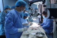 国内首次突破！猪的器官有望移植给人？团队最新解读