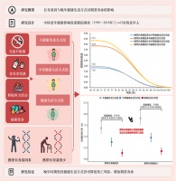 我国学者在老年人健康生活方式与长寿基因对期望寿命的影响研究方面取得进展