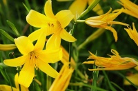 有机，不只是一种生活方式！