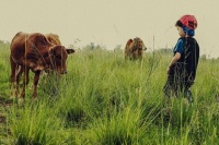 有机生活，一种不被理解的生活方式