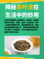 揭秘茶叶渣在生活中的妙用