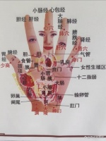 通过手诊来调整饮食，拥抱健康生活