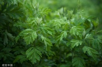 健康生活从细节做起：7个小技巧改善你的生活习惯