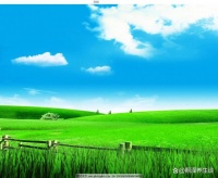 周末也要健康养生，打造活力满满的品质生活