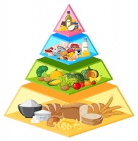 保持身体健康：全方位的健康生活指南