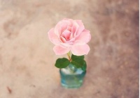 健康生活的22个建议