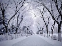 银龄健康丨功能性力量训练，增强日常生活的质量