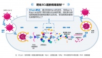 新冠感染进入长期持续管理阶段，诊疗指南变迁带来几个关键思考——「共战长期新冠，共筑呼吸健康」系列（1）