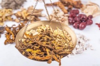 轻断食：不仅仅是饮食，更是一种生活态度