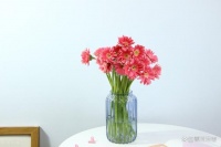 年龄只是岁月的痕迹，心态才是年轻的源泉，健康则是生活的基石