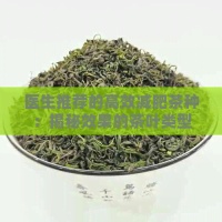 医生推荐的高效减肥茶种：揭秘效果的茶叶类型