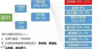 哪些茶饮有助于控制体重？探索科学有效的减肥茶配方