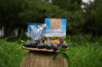 美味留存，健康常伴——溜溜梅新品上市，点亮“梅”好生活！