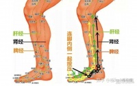 让人廋身变美的中医良方（民间效验偏方收藏）