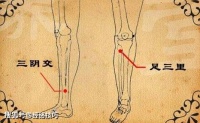 特效减肥四穴，用好它们，到老都不会发胖