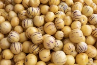 神奇的人参果：给你带来更健康、美味的生活