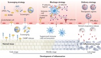 生物活性与仿生材料团队受邀在“Nature Reviews Materials”发表论文，总结生物材料调控炎症的研究进展