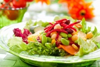 纯素食生活：全面了解纯素饮食