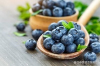中医与蓝莓的营养融合：探索健康生活的双重保障